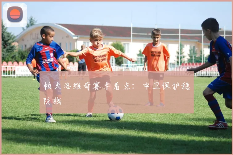 帕夫洛维奇赛季看点：中卫保护稳防线
